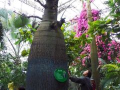 景点-祥源·阜阳生态乐园