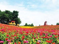 -北纬44度·金珠花海休闲农业旅游景区