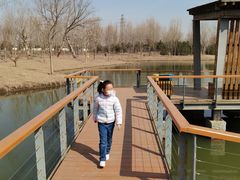 -东郊湿地公园