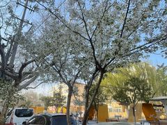 -利群海琴购物广场(商丘路店)