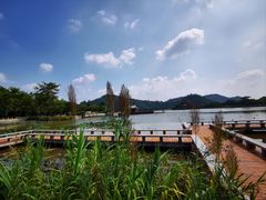 -顺峰山公园