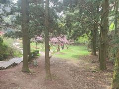 -庐山风景区花径公园