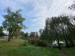 -两河城市森林公园