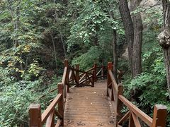 -大岭沟猕猴桃谷风景区