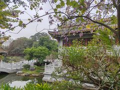 -顺峰山公园