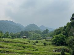 -石台牯牛降景区