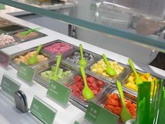 -Salud撒露欧洲冻酸奶(蓝色港湾店)