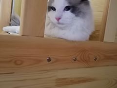 -巴黎贝甜(亿合城店)
