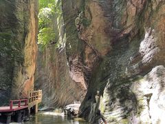 -牛背梁国家森林公园