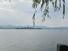 -杭州西湖柳莺里酒店·闻莺厅