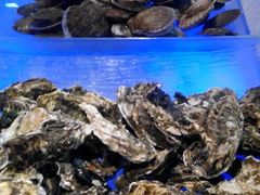 android_upload_pic-小科自助海鲜烧肉(高区店)
