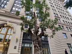 -锦什坊街叁拾伍号大厦