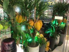 -猫王榴莲世家(三里屯SOHO商场店)