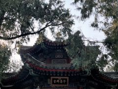 -颐和园