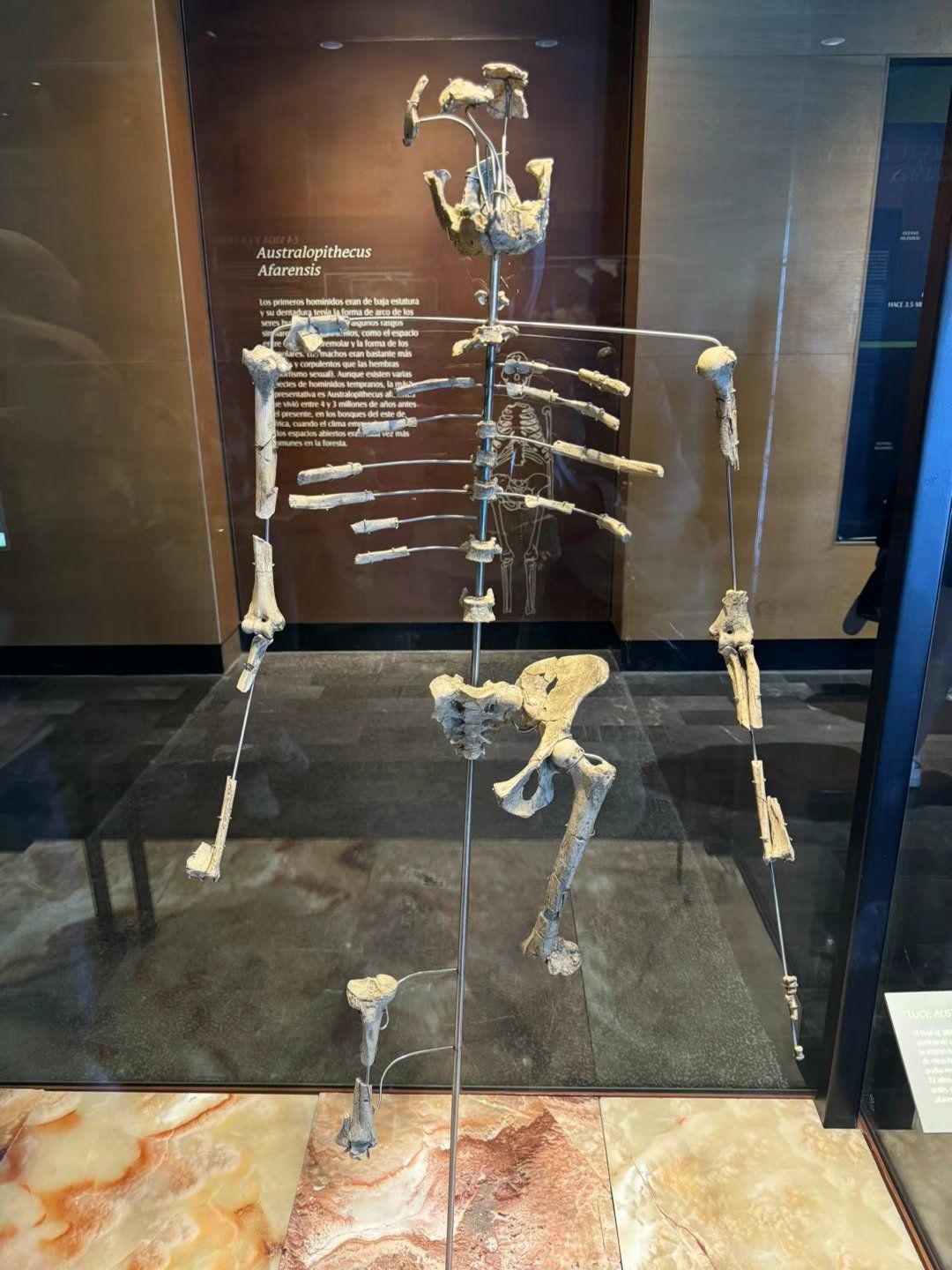 墨西哥城国立人类学博物馆在人类学历史上具