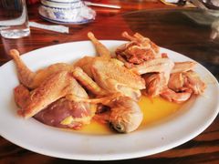 -南海鸽天下(肇庆店)