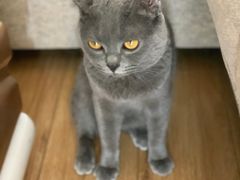 -陈记柳州螺蛳粉(大坪店)