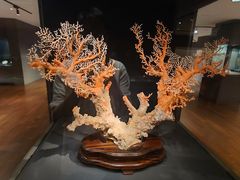 -台北故宫博物院