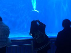 -多彩贵州城极地海洋世界