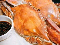 梭子蟹-必点海鲜·鲅鱼水饺(鞍山西道店)
