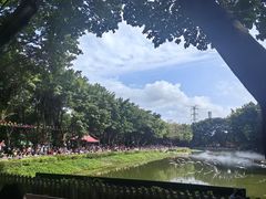-广州长隆飞鸟乐园