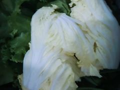 -芝麻花餐厅(祁家豁子店)