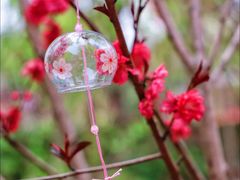 -金鸡湖桃花岛