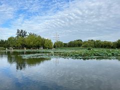 -太阳宫公园