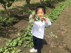 -兴芮温泉度假区