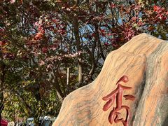 -香山公园