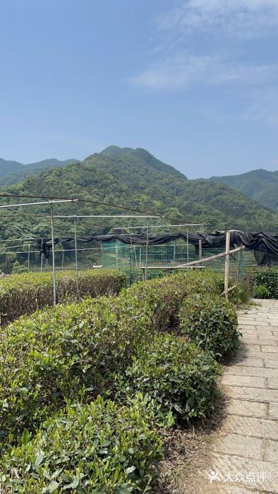 听风阁农家私房菜茶楼(龙坞店)图片