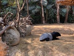 -广州长隆野生动物世界