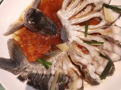 孔雀开屏鱼-西塘人家•黑金冠本地好店