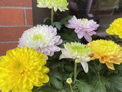 -何兮花店·气球派对鲜花店(马桥银春路万科城店)