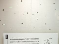 -临沂市博物馆