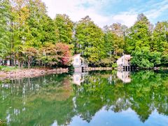 -上海共青森林公园