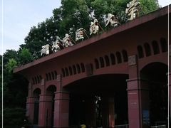 -湖北中医药大学(昙华林校区)