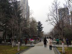 -木塔寺遗址生态公园