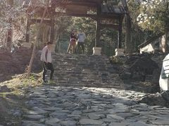 -北京鹫峰国家森林公园