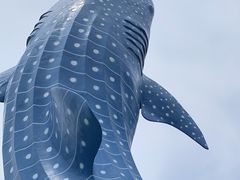 -珠海长隆海洋王国
