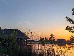 -池杉湖湿地公园