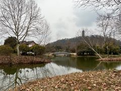 -焦山风景区