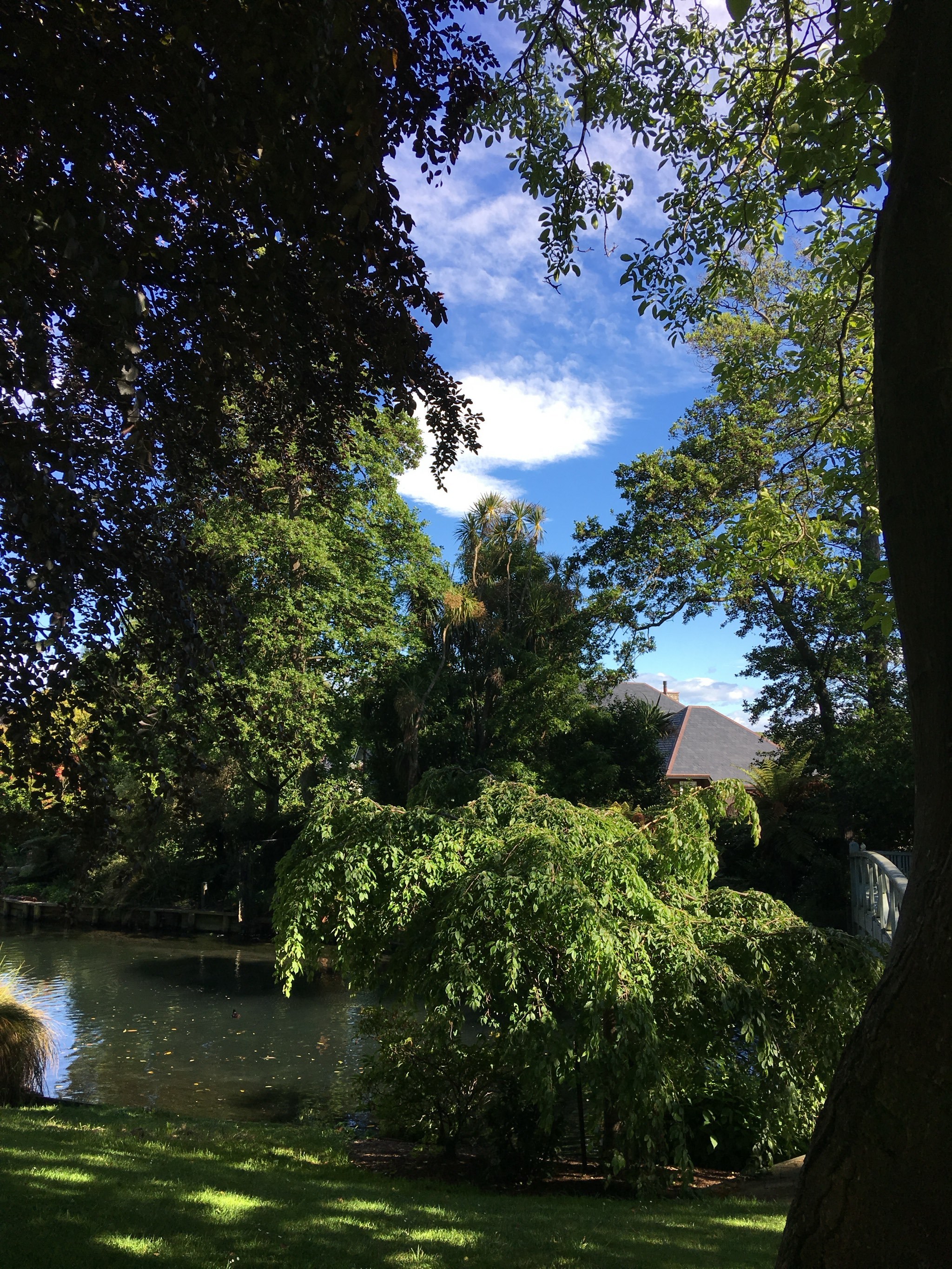 【梦娜维尔花园】基督城的英伦秘境