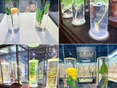 -广东中医药博物馆