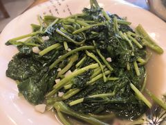 -9号小厨师(端平桥店)