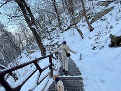 -终南山南五台景区