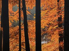 -青山湖景区