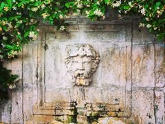 景观位-金羊酒店