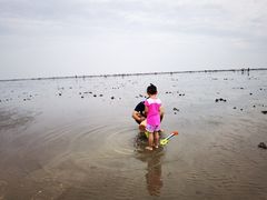 -奉贤海滩