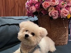 -宴周康·精致江浙菜(周浦店)
